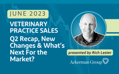 Vet Practice Sales: Q2 Recap, New Changes & What’s Next For the Market?