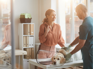 Veterinary broker meeting with clients to review practice sale options and negotiate deal terms.