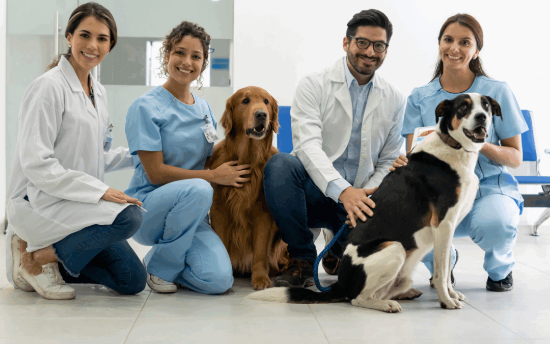 Is Your Vet Practice Better Positioned in a ‘Group’ Sale? Find Out Now
