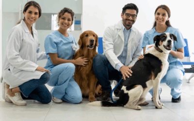 Is Your Vet Practice Better Positioned in a ‘Group’ Sale? Find Out Now