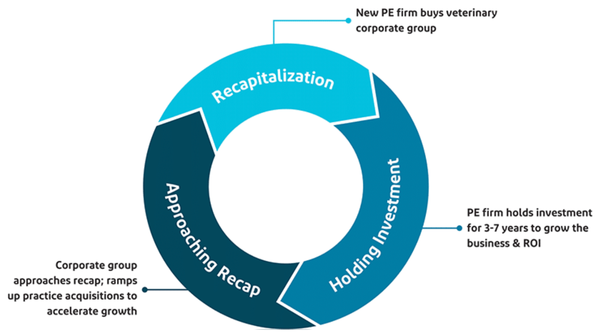 Circular chart illustrating the key factors that influence veterinary practice valuation, including operations, financial performance, and investment risk.