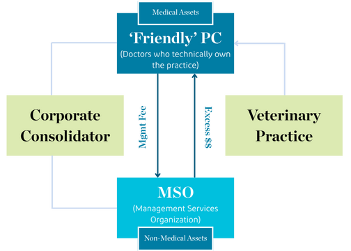 Diagram showing Friendly PC and MSO legal structure for veterinary practices
