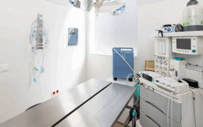 Assessing your Options for your Veterinary Real Estate Owners – Sell or Hold Your Property?