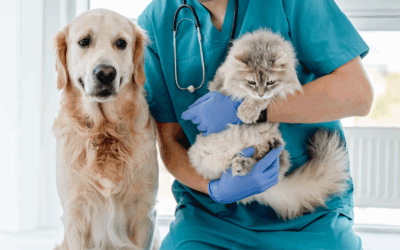 What is a Recapitalization and Why is it Important to My Practice Sale?