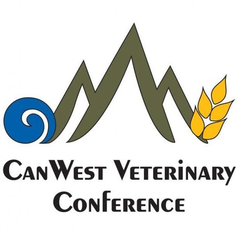 Great Ideas Veterinary Conference
